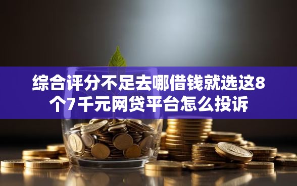 综合评分不足去哪借钱就选这8个7千元网贷平台怎么投诉