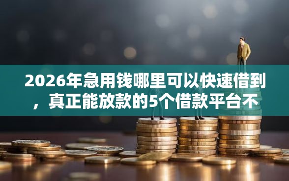 2026年急用钱哪里可以快速借到，真正能放款的5个借款平台不看征信不看负债推荐