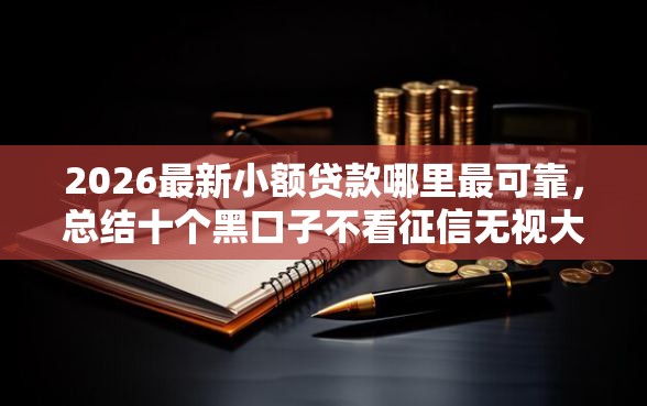 2026最新小额贷款哪里最可靠，总结十个黑口子不看征信无视大数据！