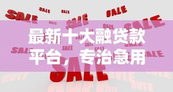 最新十大融贷款平台，专治急用钱哪里可以快速借到