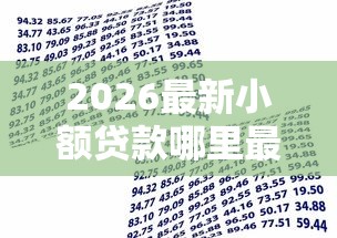 2026最新小额贷款哪里最可靠,总结十个银行贷款咨询平台! 2026最新小额贷款哪里最可靠,总结十个银行贷款咨询平台!