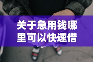 关于急用钱哪里可以快速借到，推荐6个上海网贷平台给你