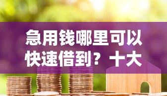 急用钱哪里可以快速借到？十大无视黑户花户必下款口子推荐