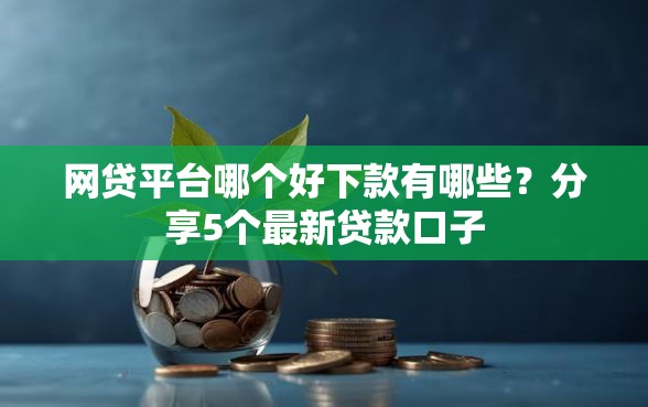 网贷平台哪个好下款有哪些？分享5个最新贷款口子