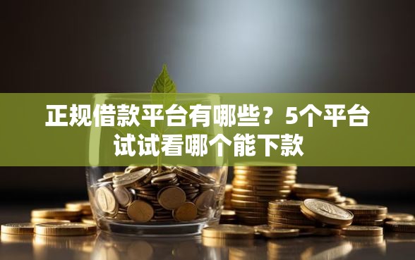 正规借款平台有哪些？5个平台试试看哪个能下款