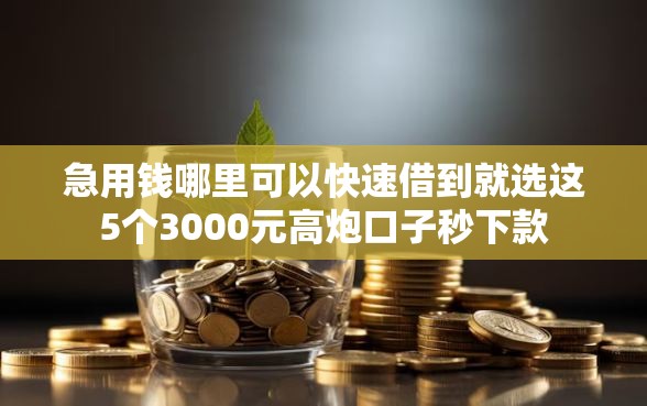 急用钱哪里可以快速借到就选这5个3000元高炮口子秒下款