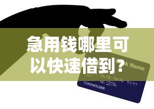 急用钱哪里可以快速借到？网友亲测8个口子贷款盘点