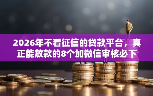 2026年不看征信的贷款平台，真正能放款的8个加微信审核必下的网贷平台推荐