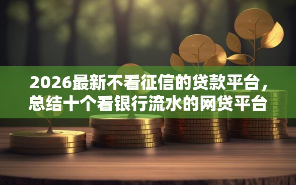 2026最新不看征信的贷款平台，总结十个看银行流水的网贷平台！