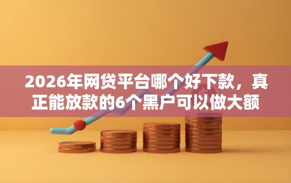 2026年网贷平台哪个好下款，真正能放款的6个黑户可以做大额贷款口子推荐