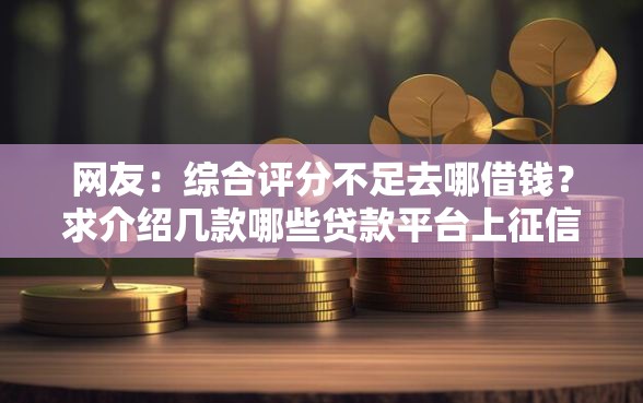 网友：综合评分不足去哪借钱？求介绍几款哪些贷款平台上征信