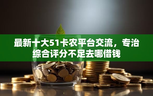 最新十大51卡农平台交流，专治综合评分不足去哪借钱