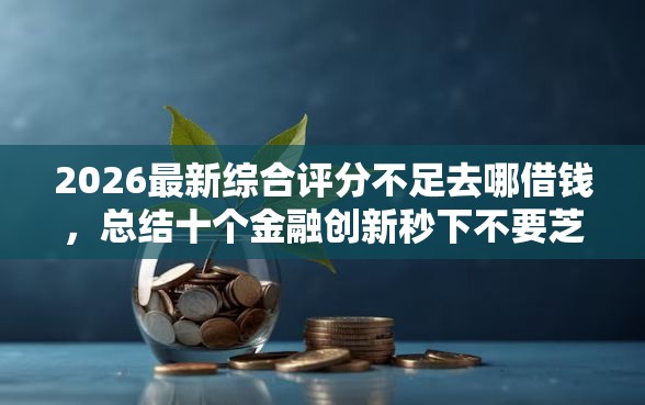 2026最新综合评分不足去哪借钱，总结十个金融创新秒下不要芝麻分的软件！