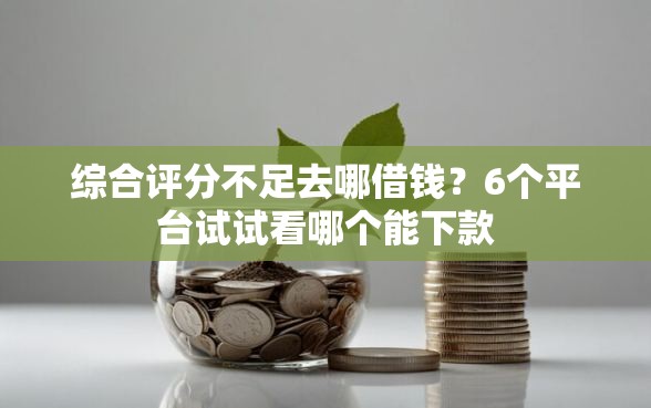 综合评分不足去哪借钱？6个平台试试看哪个能下款