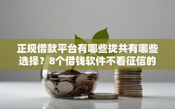 正规借款平台有哪些拢共有哪些选择？8个借钱软件不看征信的容易下款的详解