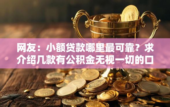网友:小额贷款哪里最可靠?求介绍几款有公积金无视一切的口子 网友:小额贷款哪里最可靠?求介绍几款有公积金无视一切的口子