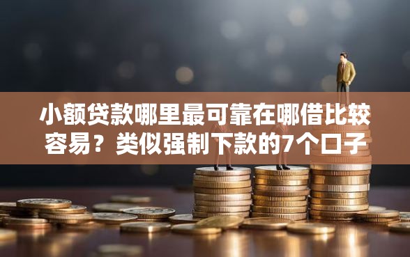 小额贷款哪里最可靠在哪借比较容易？类似强制下款的7个口子参考
