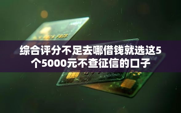 综合评分不足去哪借钱就选这5个5000元不查征信的口子