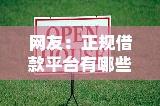 网友：正规借款平台有哪些？求介绍几款优质贷款平台