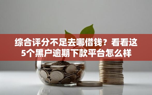 综合评分不足去哪借钱？看看这5个黑户逾期下款平台怎么样