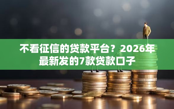 不看征信的贷款平台？2026年最新发的7款贷款口子
