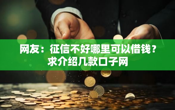 网友：征信不好哪里可以借钱？求介绍几款口子网