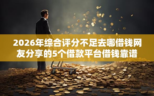 2026年综合评分不足去哪借钱网友分享的5个借款平台借钱靠谱我觉得不错！
