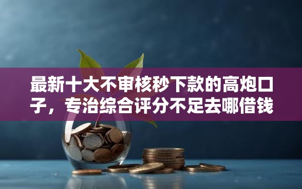 最新十大不审核秒下款的高炮口子，专治综合评分不足去哪借钱