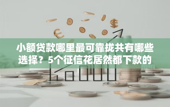小额贷款哪里最可靠拢共有哪些选择？5个征信花居然都下款的软件详解