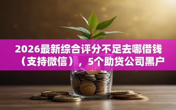 2026最新综合评分不足去哪借钱(支持微信),5个助贷公司黑户口子有什么无私分享 2026最新综合评分不足去哪借钱(支持微信),5个助贷公司黑户口子有什么无私分享