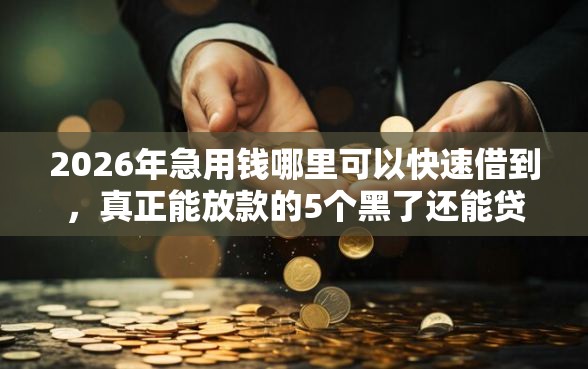 2026年急用钱哪里可以快速借到，真正能放款的5个黑了还能贷款平台推荐