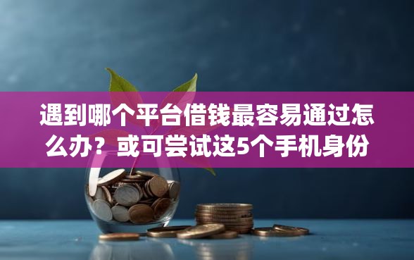 遇到哪个平台借钱最容易通过怎么办？或可尝试这5个手机身份证秒借现金的app