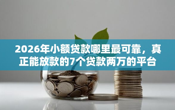 2026年小额贷款哪里最可靠，真正能放款的7个贷款两万的平台推荐