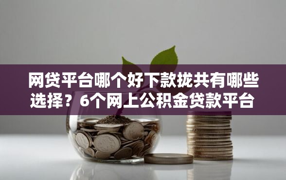 网贷平台哪个好下款拢共有哪些选择？6个网上公积金贷款平台详解