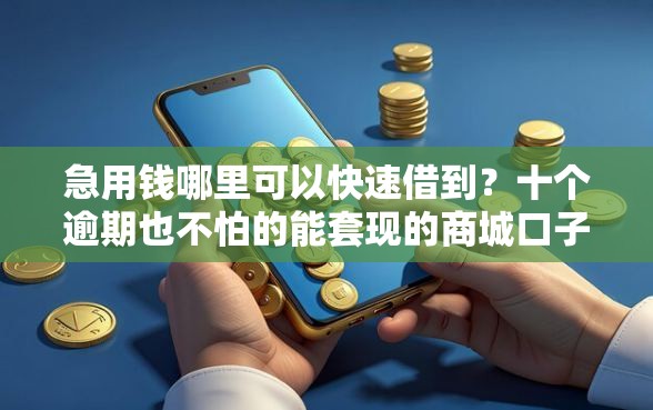 急用钱哪里可以快速借到？十个逾期也不怕的能套现的商城口子