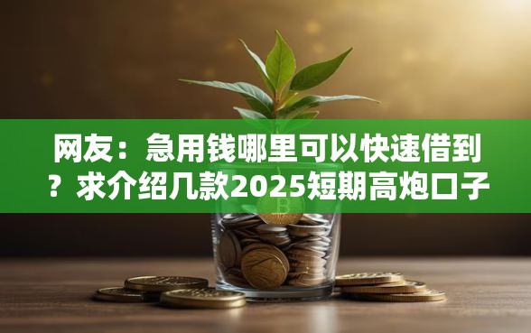网友：急用钱哪里可以快速借到？求介绍几款2025短期高炮口子必下款