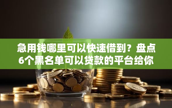 急用钱哪里可以快速借到?盘点6个黑名单可以贷款的平台给你参考 急用钱哪里可以快速借到?盘点6个黑名单可以贷款的平台给你参考