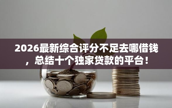 2026最新综合评分不足去哪借钱，总结十个独家贷款的平台！