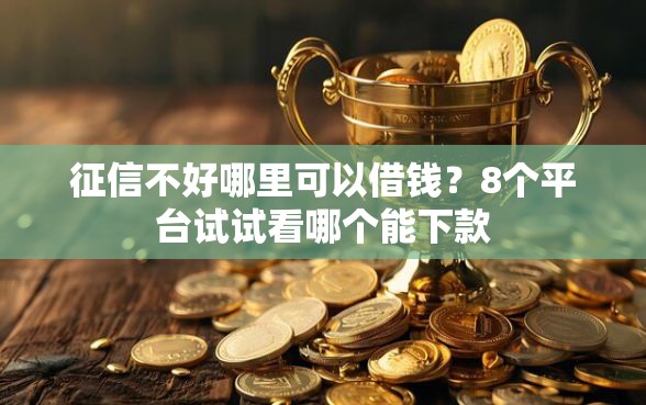 征信不好哪里可以借钱？8个平台试试看哪个能下款