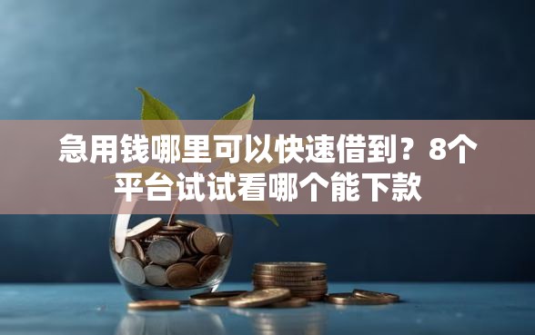 急用钱哪里可以快速借到？8个平台试试看哪个能下款