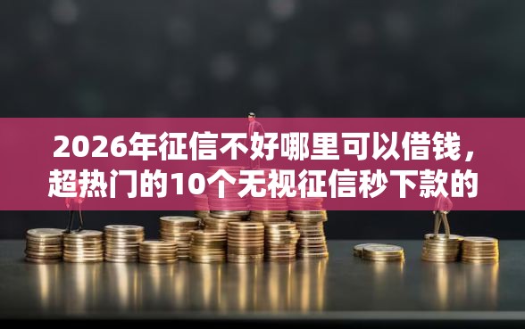 2026年征信不好哪里可以借钱，超热门的10个无视征信秒下款的口子推荐