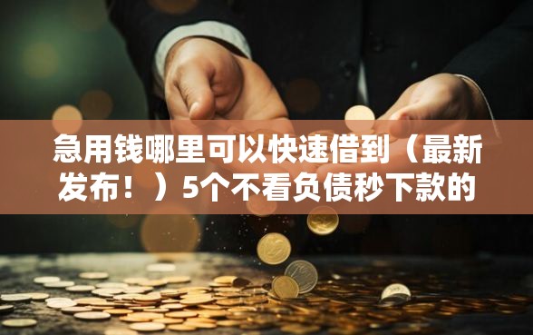 急用钱哪里可以快速借到（最新发布！）5个不看负债秒下款的网贷口子