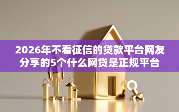 2026年不看征信的贷款平台网友分享的5个什么网贷是正规平台我觉得不错！