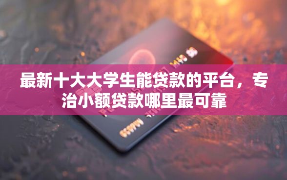 最新十大大学生能贷款的平台，专治小额贷款哪里最可靠