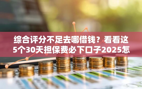 综合评分不足去哪借钱？看看这5个30天担保费必下口子2025怎么样