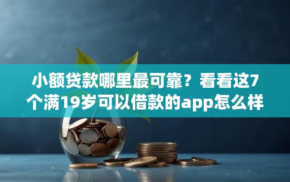 小额贷款哪里最可靠?看看这7个满19岁可以借款的app怎么样 小额贷款哪里最可靠?看看这7个满19岁可以借款的app怎么样