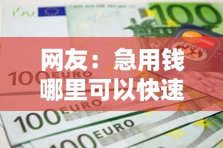 网友：急用钱哪里可以快速借到？求介绍几款低利率贷款平台