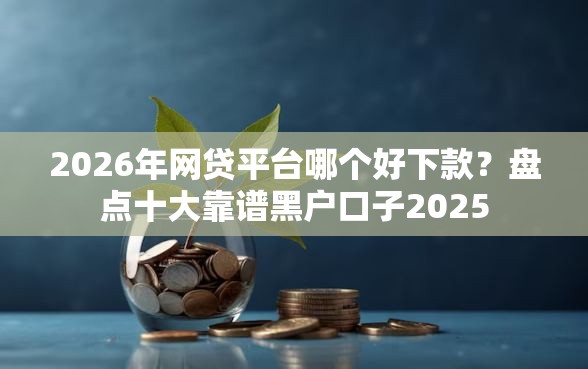 2026年网贷平台哪个好下款？盘点十大靠谱黑户口子2025