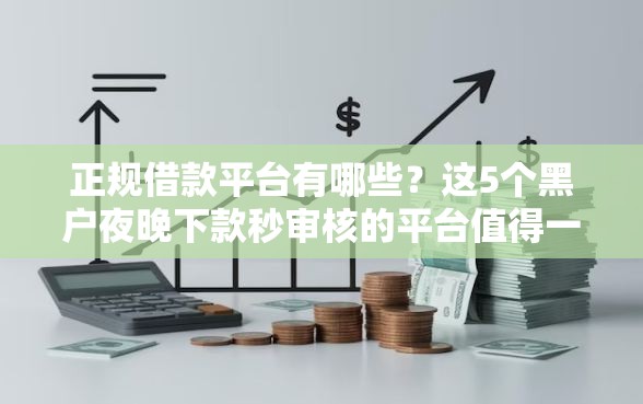 正规借款平台有哪些？这5个黑户夜晚下款秒审核的平台值得一试