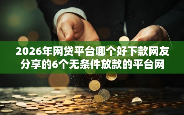 2026年网贷平台哪个好下款网友分享的6个无条件放款的平台网站我觉得不错！